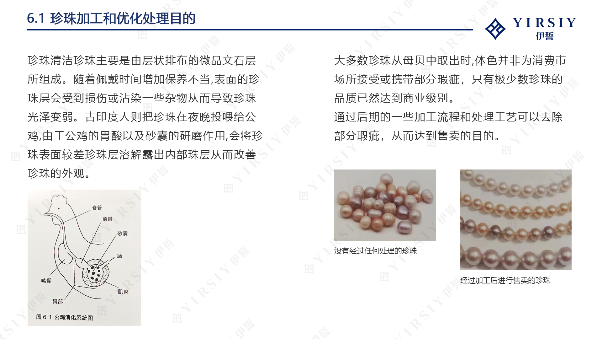 珍珠优化处理1