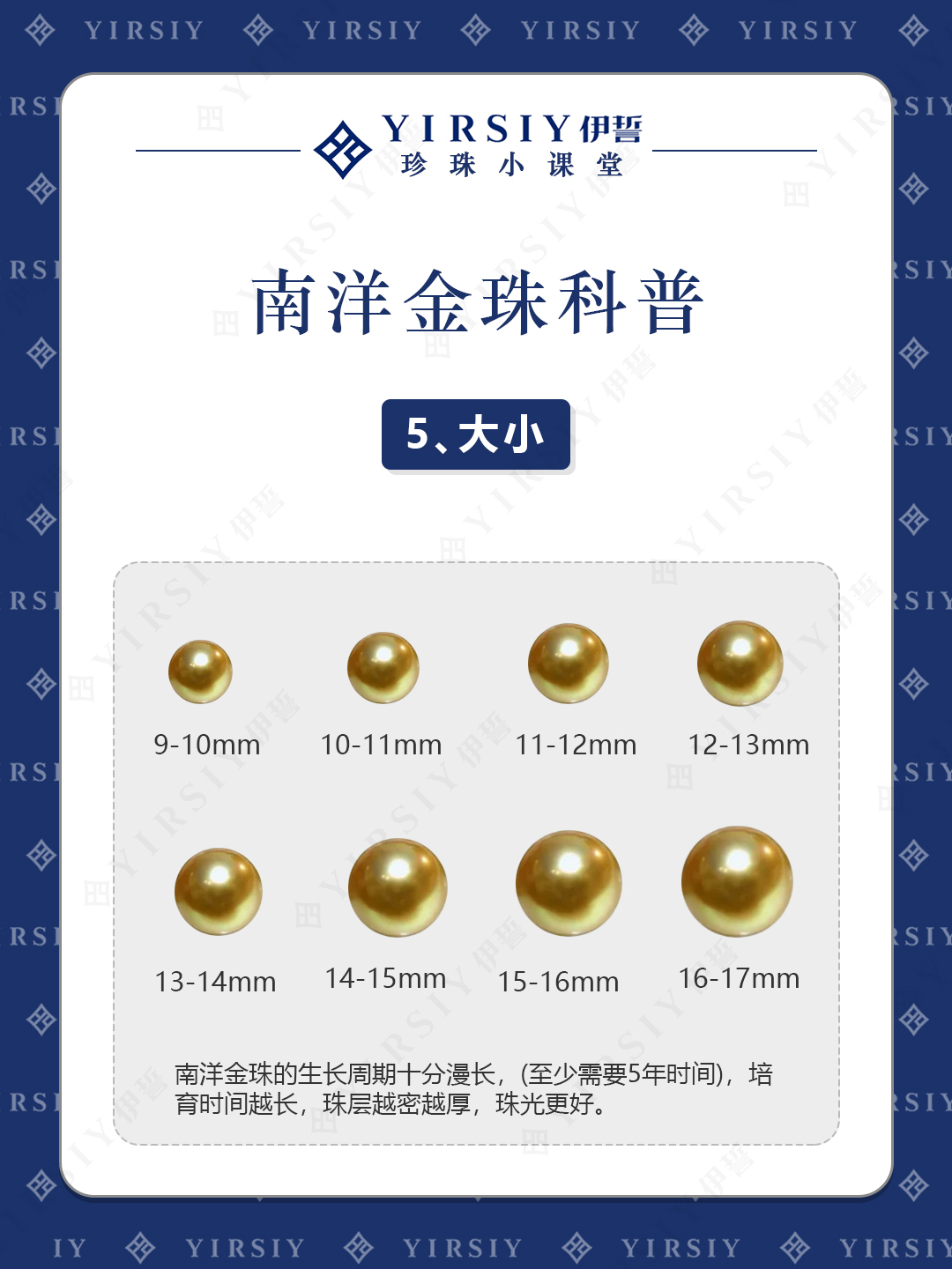 南洋金珠大小科普