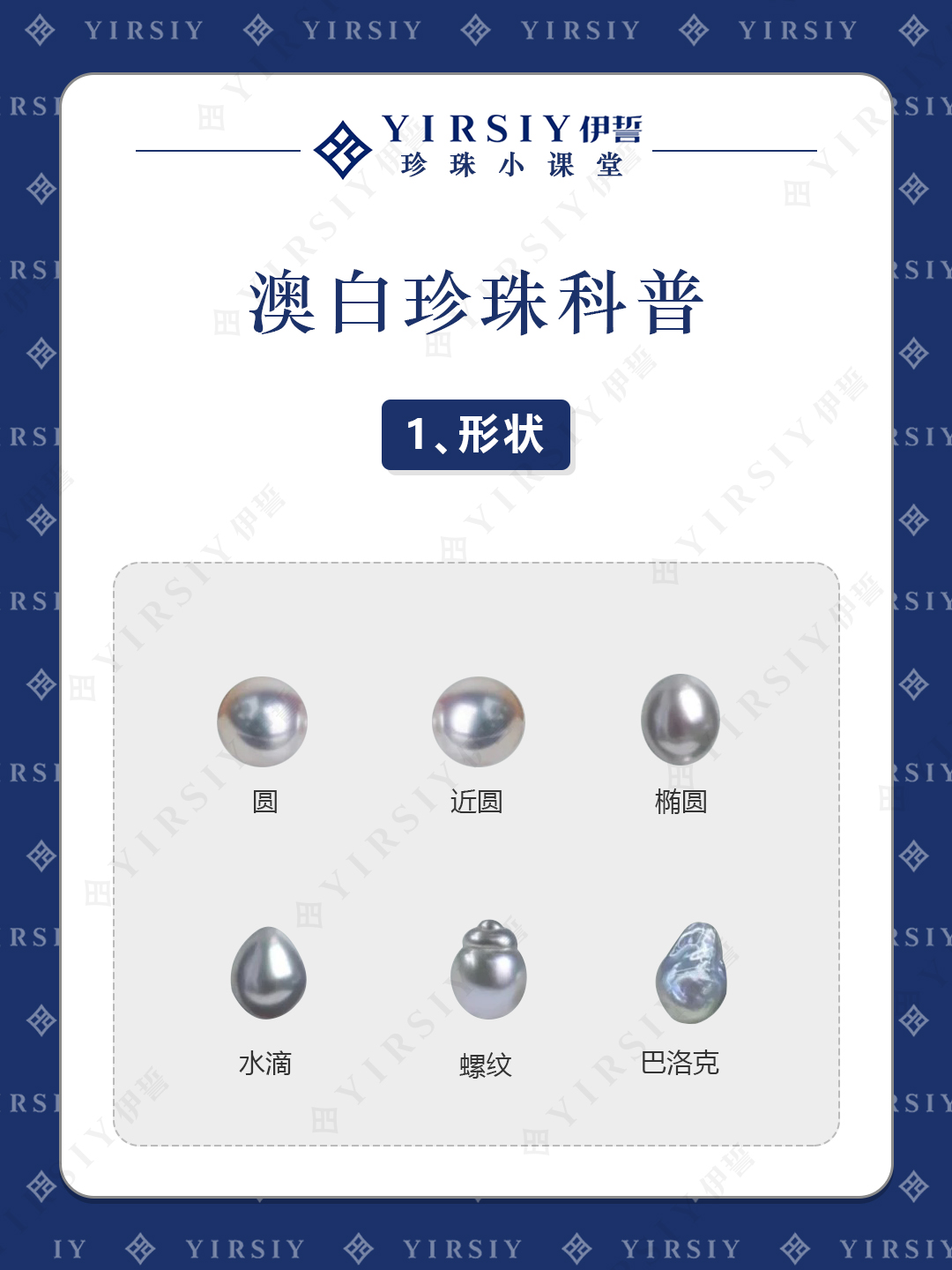 澳白珍珠科普1