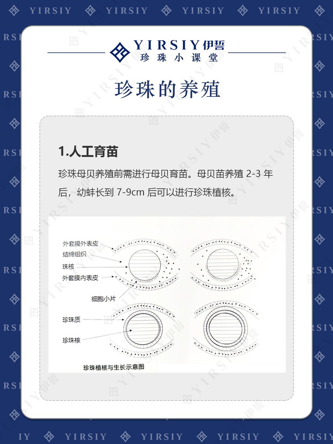 珍珠养殖1