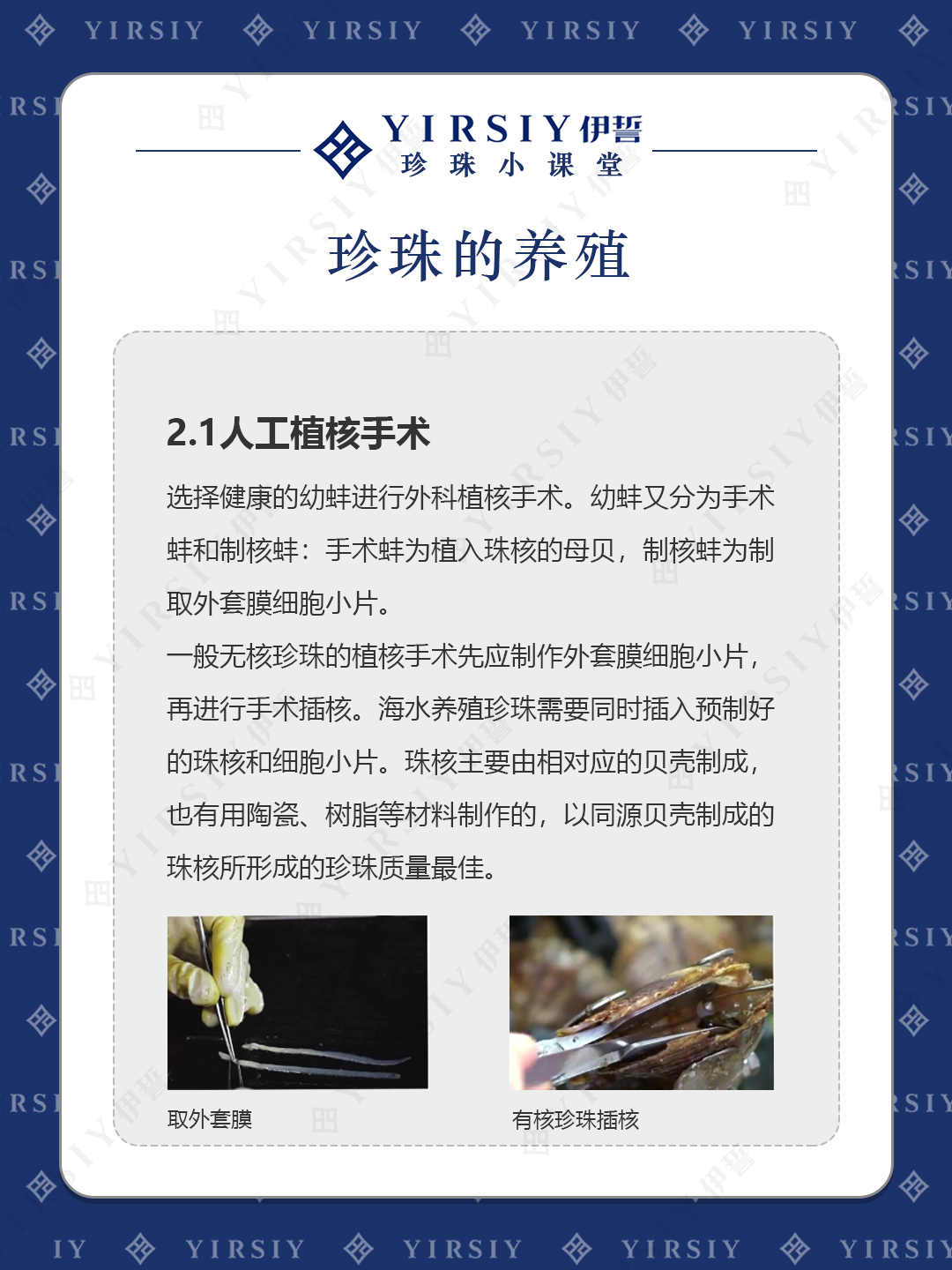 珍珠养殖2