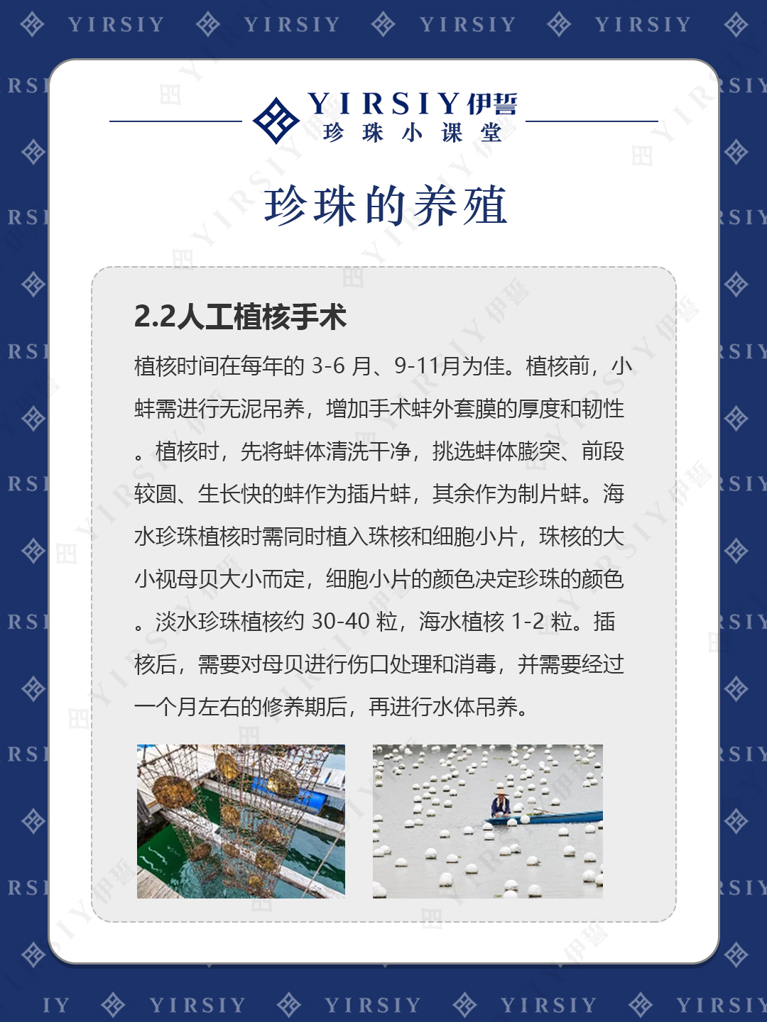 珍珠养殖3
