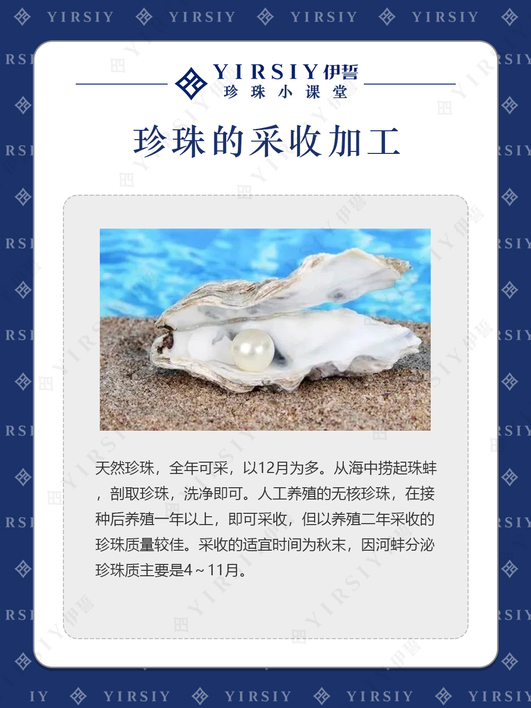 珍珠药学功效4