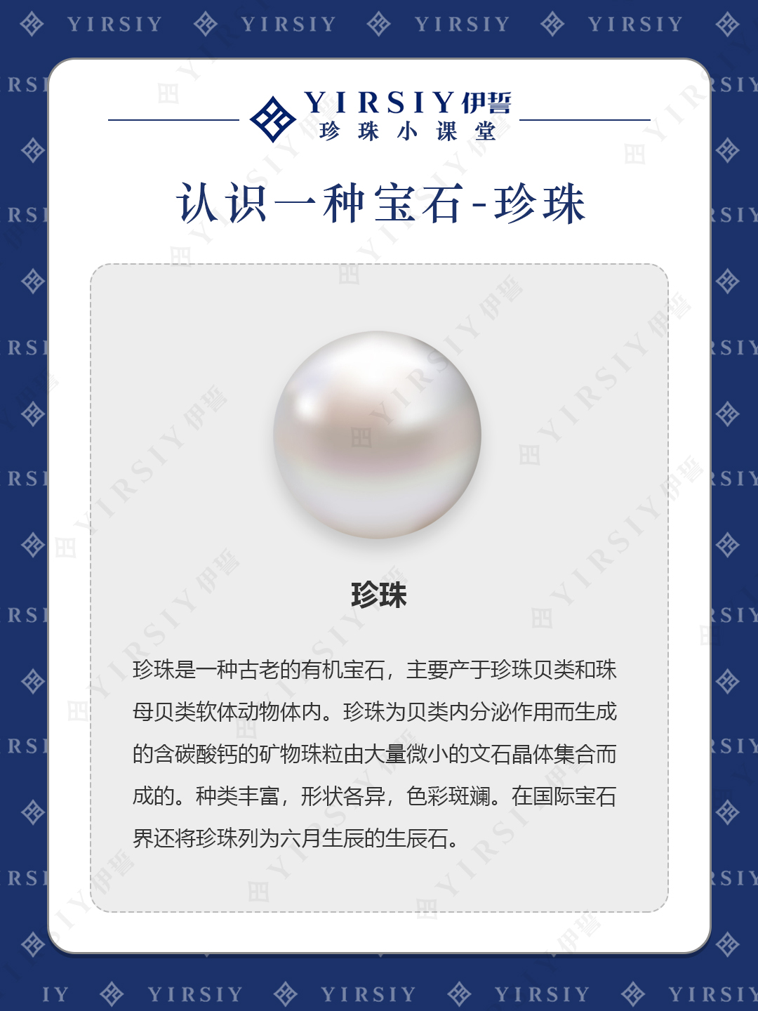 认识珍珠1