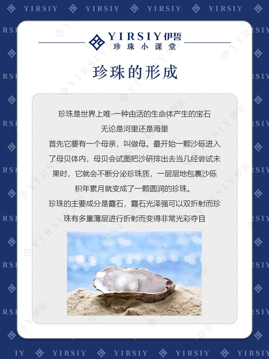 认识珍珠2