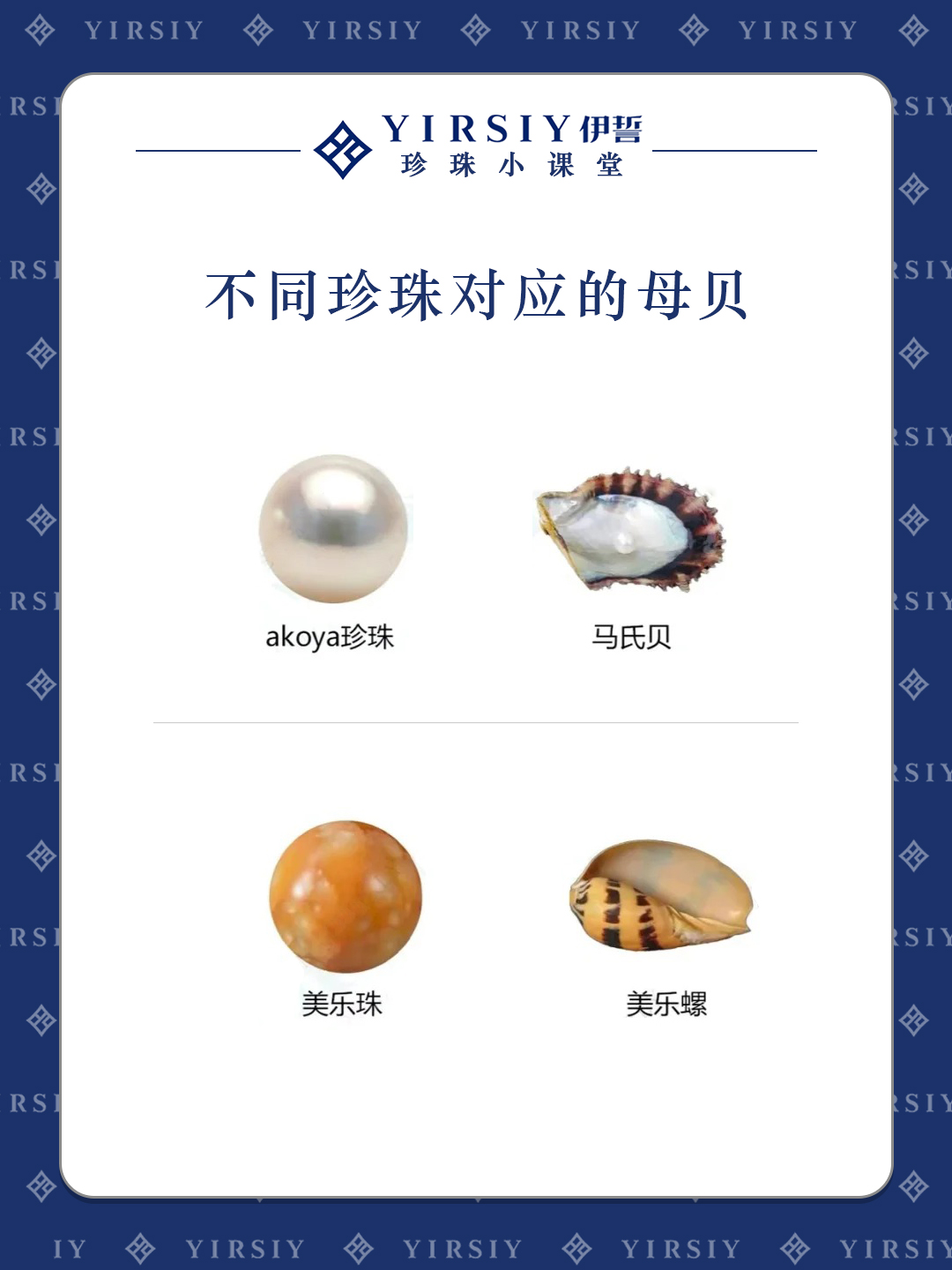 认识珍珠3
