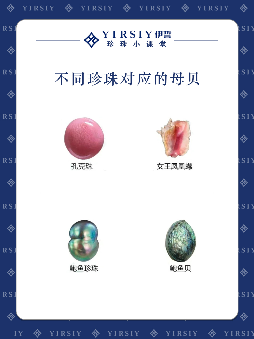 认识珍珠4