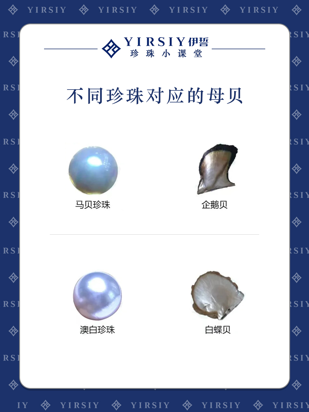 认识珍珠5