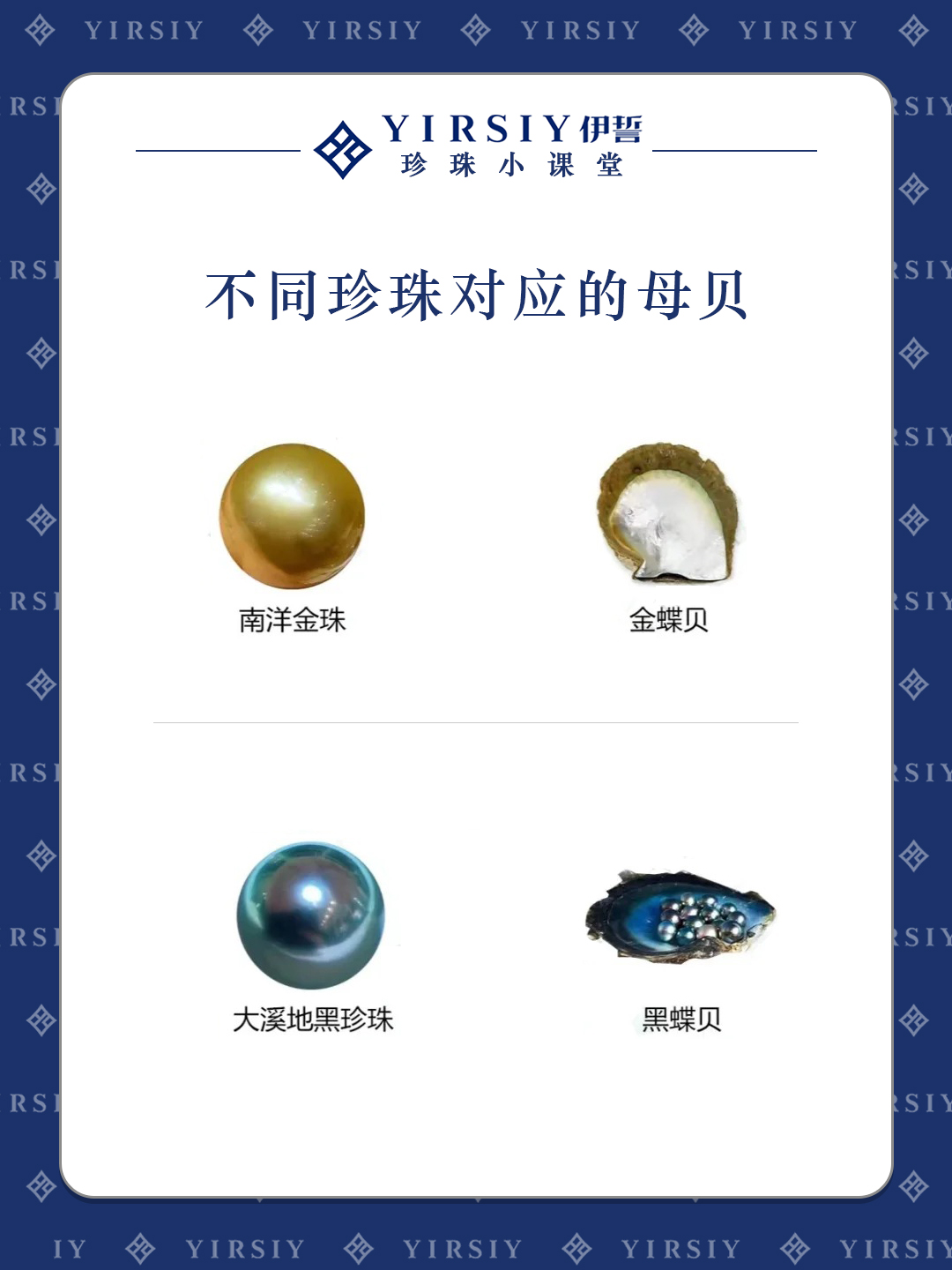 认识珍珠6